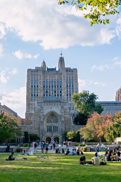 students gather outside to enjoy the beauty of Yale's campus