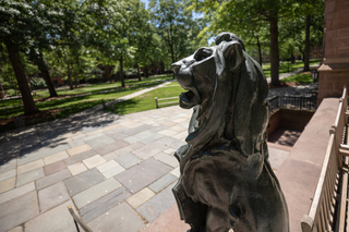 A lion-headed gargoyle watches over Old Campus